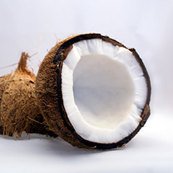 Complément alimentaire lait de coco BIO 