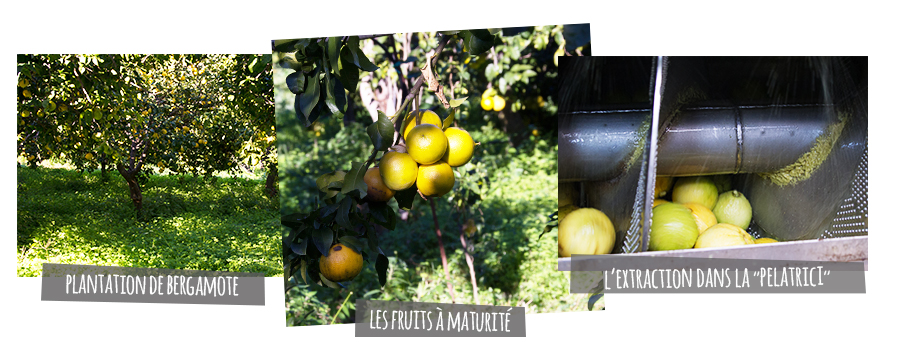 Produit exception he bergamote