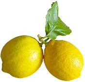 Huile essentielle de Citron sans furocoumarines de Sicile BIO 