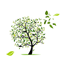 Blog : l'énergie du printemps