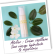 Atelier l'Essentiel - Crème capillaire sans rinçage hydratante & réparatrice