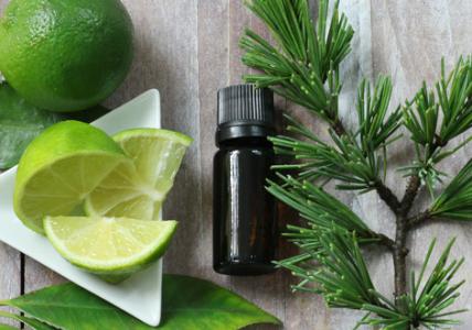 Recette Composition à diffuser
