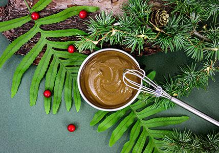 Recette Shampooing végétal beauté des cheveux