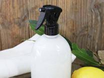 Spray Nettoyant pour lavabos et baignoire 