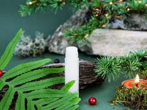 Soin des lèvres au beurre de Cacao