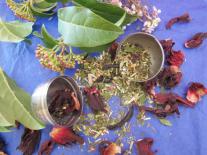 Tisane 
