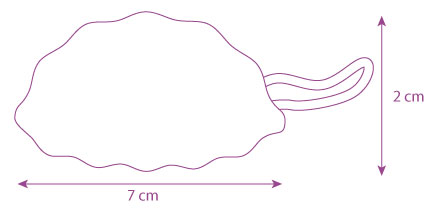 Dimensions éponge Konjac du Japon