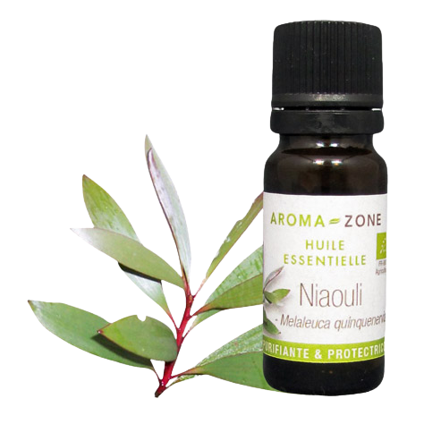 Huile essentielle de Niaouli BIO