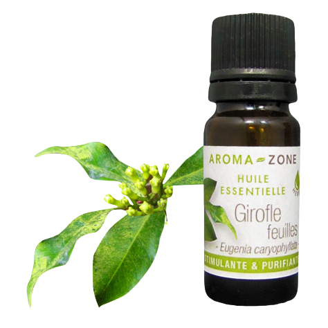 Huile essentielle de Girofle feuilles BIO