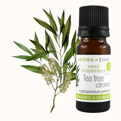Olio essenziale di Tea tree citronato (Albero del tè) BIO