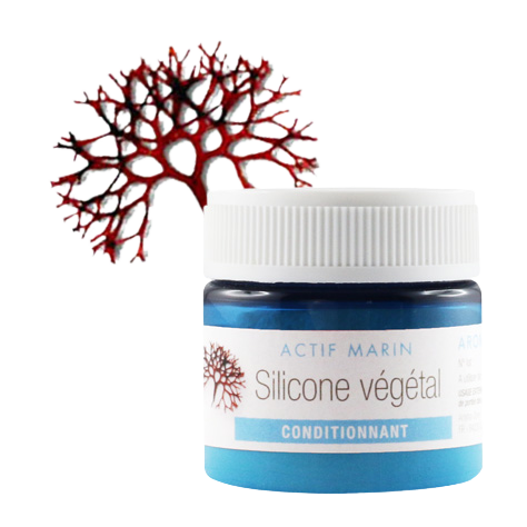 Silicone végétal