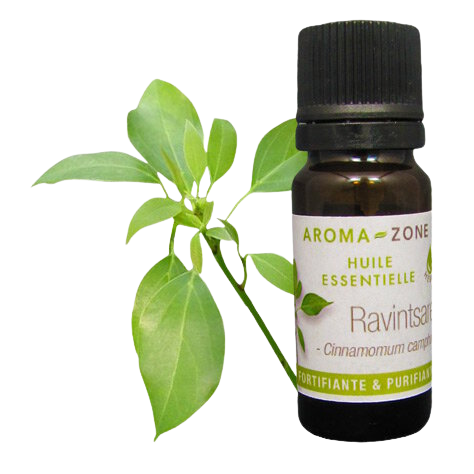 Bulletin qualité Huile essentielle de Ravintsara (Ravintsare) AromaZone