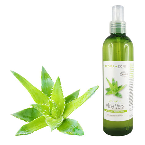 Gel d'Aloe vera