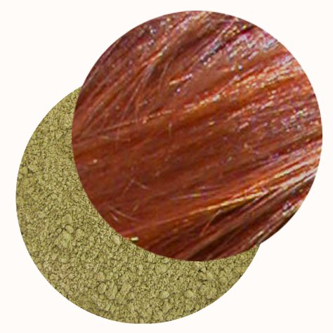 Henné d'Egypte - Colorant capillaire végétal