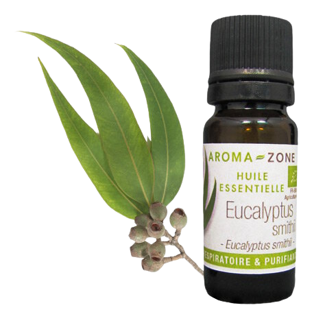 Olio essenziale di Eucalipto smithii BIO