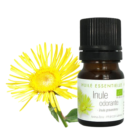 Huile essentielle Inule odorante BIO