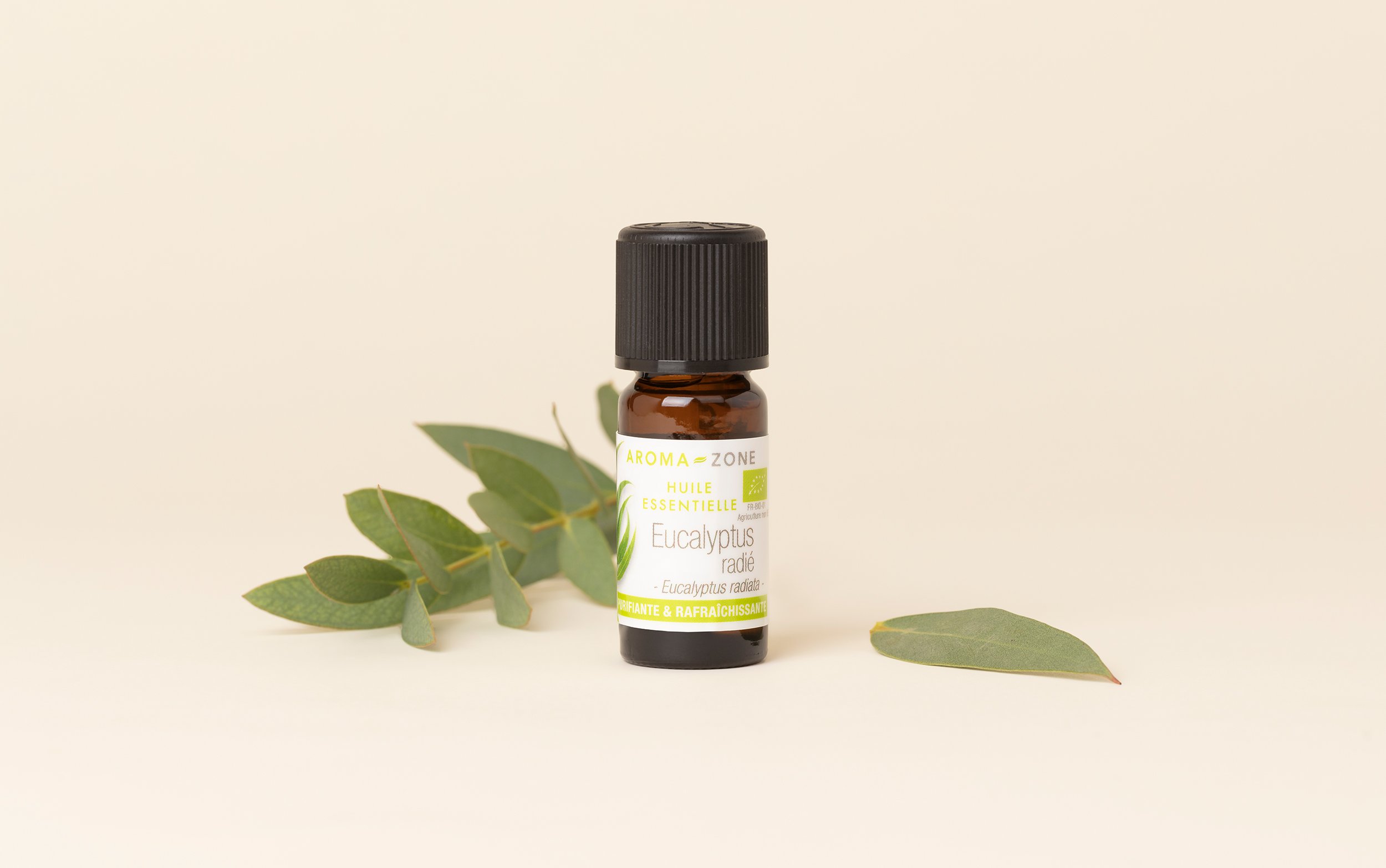 Olio essenziale di Eucalipto radiata BIO