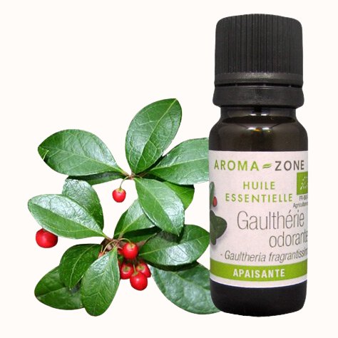 Olio essenziale di Gaulteria odorosa (Wintergreen) BIO