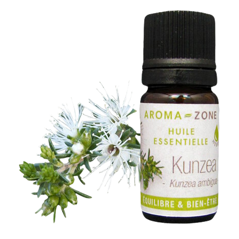 Huile essentielle de Kunzea