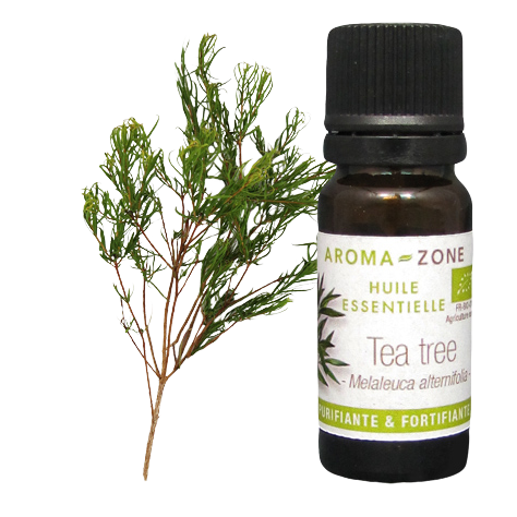 Huile essentielle de tea tree bio-Antiseptique,antiviral-Prix:10