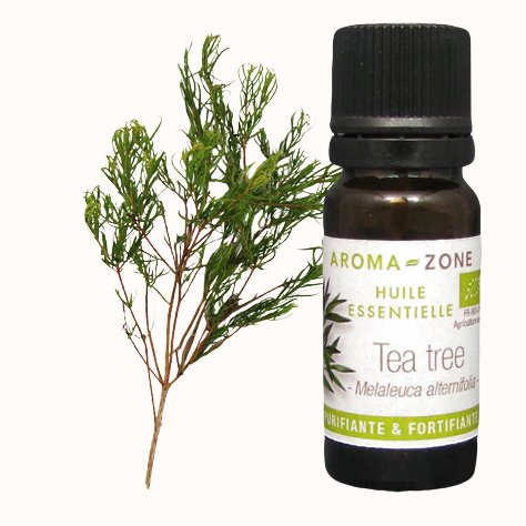 Olio essenziale di Tea tree (Albero del tè) BIO)