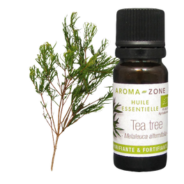 Olio essenziale di Tea tree (Albero del tè) BIO