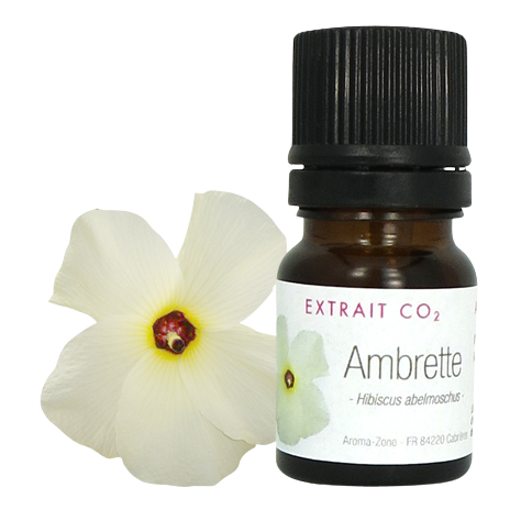 Extrait CO2 Ambrette