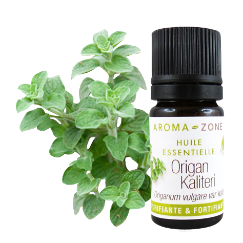 Olio essenziale di Origano kaliteri