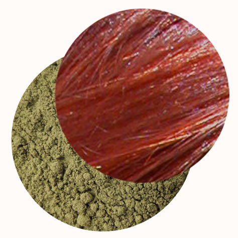 Henné du Rajasthan BIO - Colorant capillaire végétal
