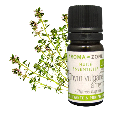 Huile essentielle de Thym à thymol de Provence BIO