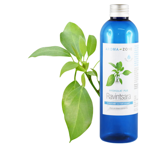 Hydrolat de Ravintsara