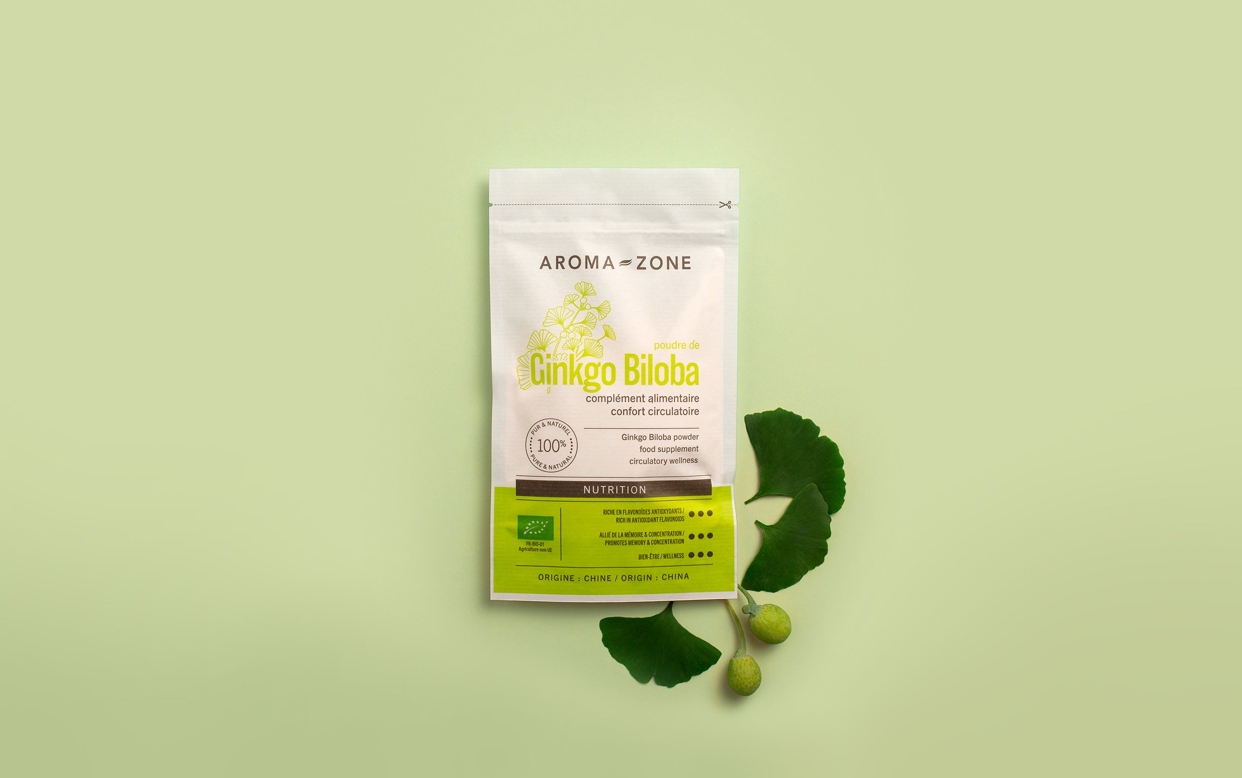 Ginkgo biloba BIO in polvere