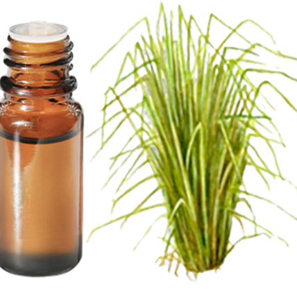 Vetiver Essential Oil - Benefits & Uses - Aroma-Zone