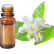 FT-Plante HE-Gingembre-papillon-removebg-preview
