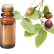 FT-Plante HE-Linaloe-baies-removebg-preview