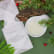 Lotion visage anti-âge et hydratante pour masque en tissu