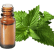 FT-Plante HE-Menthe-poivree-removebg-preview
