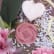 M091110 bouquet-bain-fleur-rouge