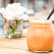 Smoothie-Pulpe-de-fruit-de-Baobab_AdobeStock.png