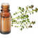 FT-Plante HE-Thym-satureoides-removebg-preview