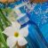 Shampooing des lagons simplissime