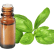 FT-Plante HE-Basilic-Tropical-removebg-preview