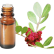 FT-Plante HE-Lentisque-Pistachier-removebg-preview
