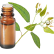 FT-Plante HE-Eucalyptus-menthole-removebg-preview