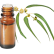 FT-Plante HE-Cajeput-removebg-preview