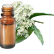 FT-Plante HE-Myrte-citronnee-removebg-preview
