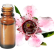FT-Plante HE-Manuka-removebg-preview