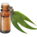 FT-Plante HE-Eucalyptus-smithii-removebg-preview
