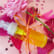 Sérum concentré jeunesse pour le visage rose & figuier