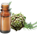 FT-Plante HE-Cryptomeria-removebg-preview
